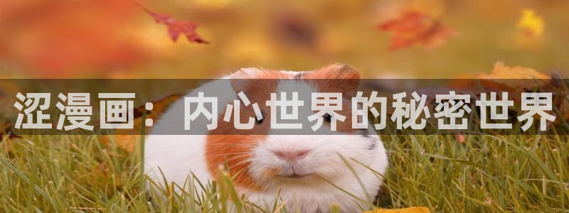 歪歪漫画网站漫画